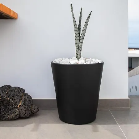 Casa Volcan De Caldera Blanca *